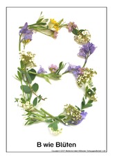 B-wie-Blüten.pdf